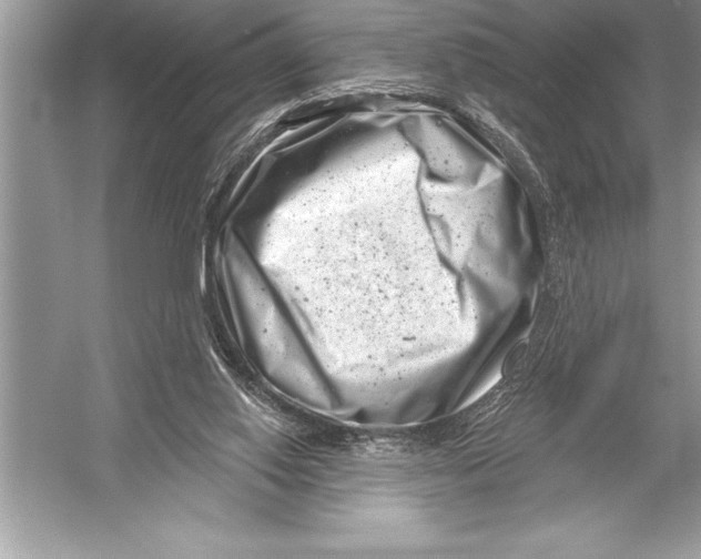 X0000051860062200507221908