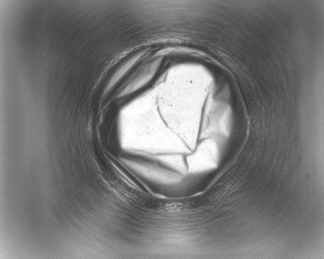 X0000051860064200507221908