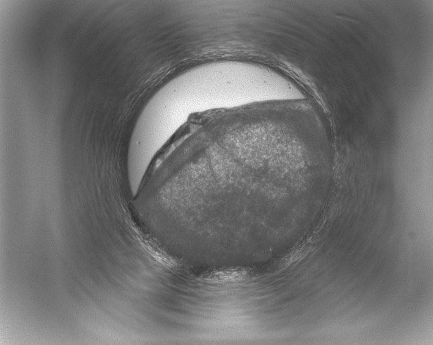 X0000051860065200507221908