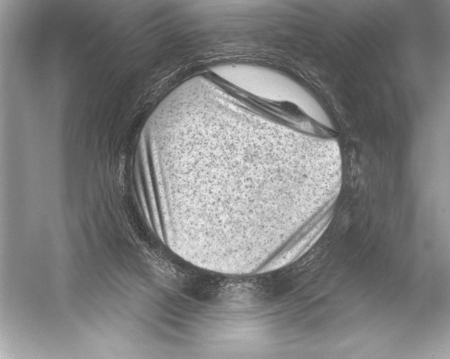 X0000051860066200507221908