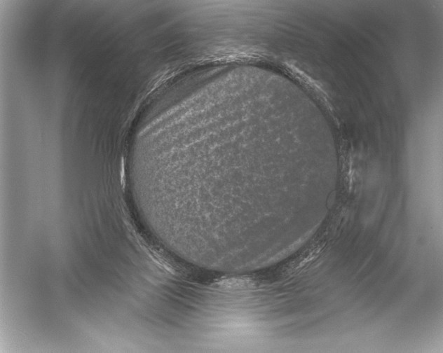 X0000051860067200507221908