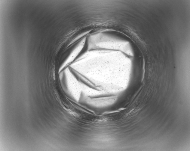 X0000051860068200507221908