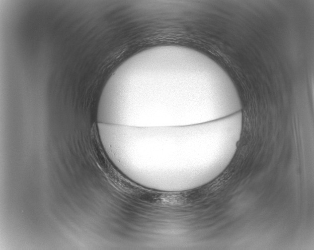 X0000051860070200507221908