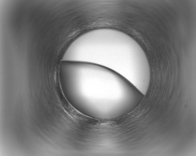 X0000051860072200507221908