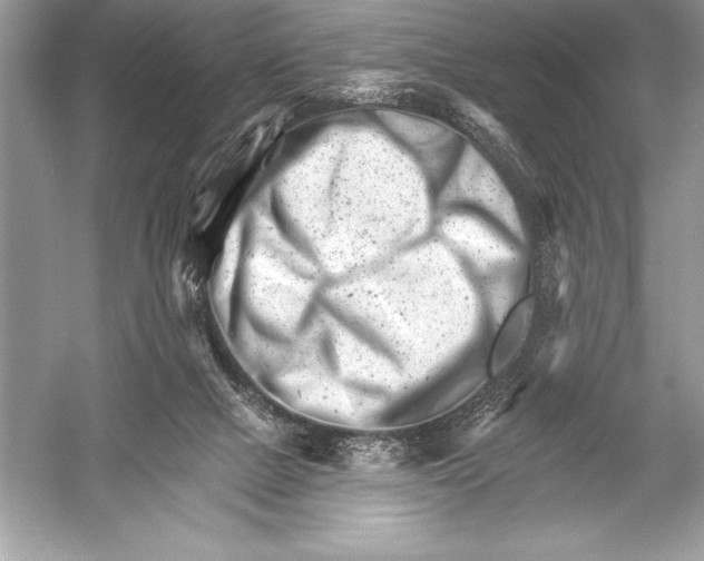 X0000051860073200507221908