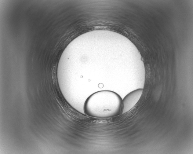 X0000051860074200507221908