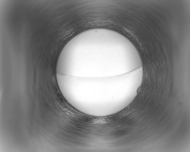 X0000051860075200507221908