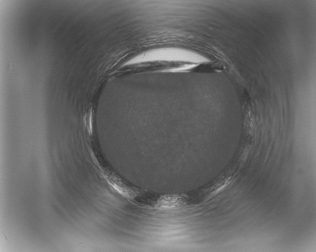 X0000051860076200507221908