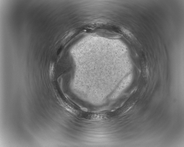 X0000051860077200507221908