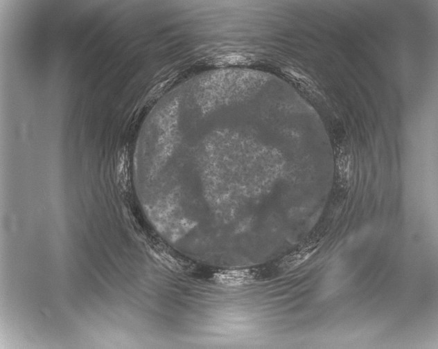 X0000051860079200507221908