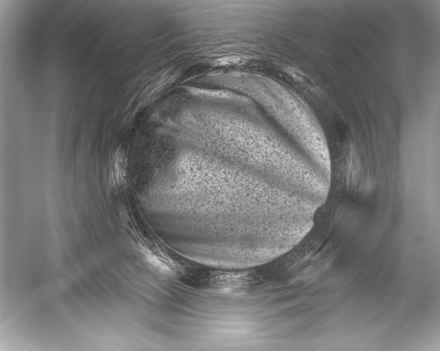 X0000051860081200507221908