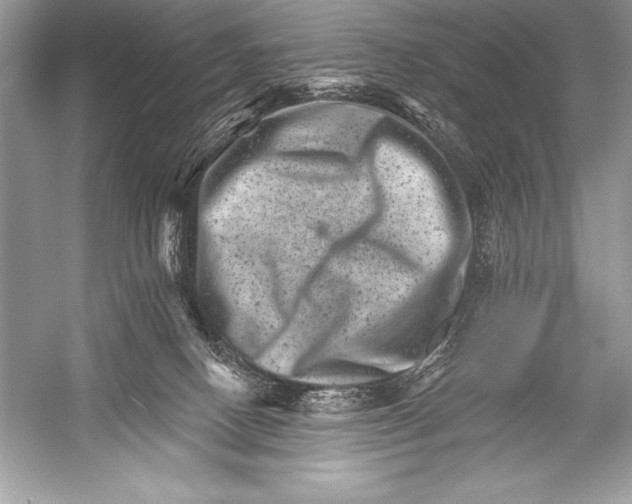 X0000051860082200507221908