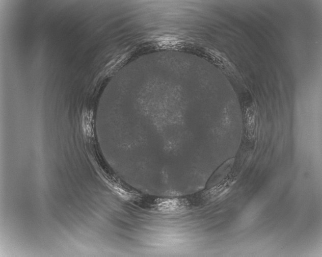 X0000051860083200507221908