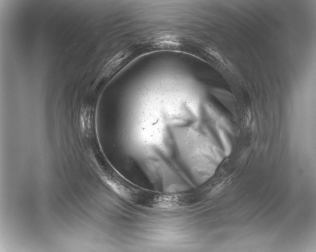 X0000051860084200507221908