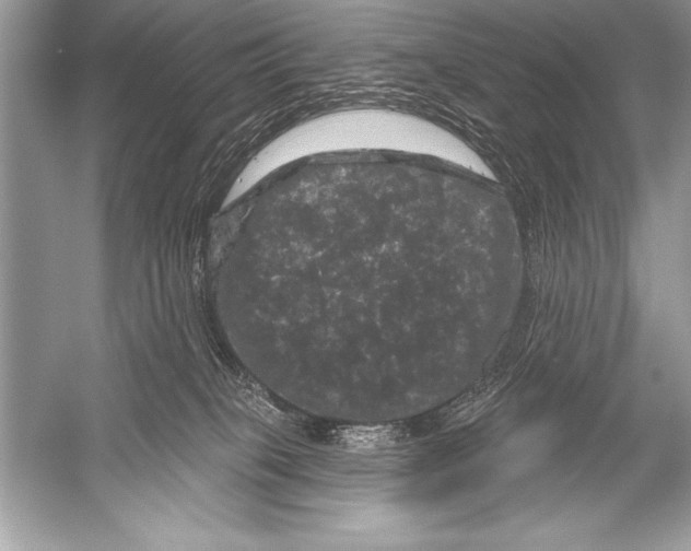 X0000051860085200507221908