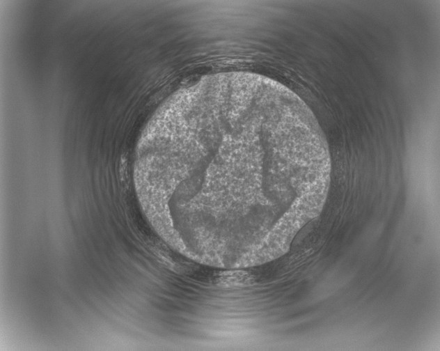 X0000051860087200507221908