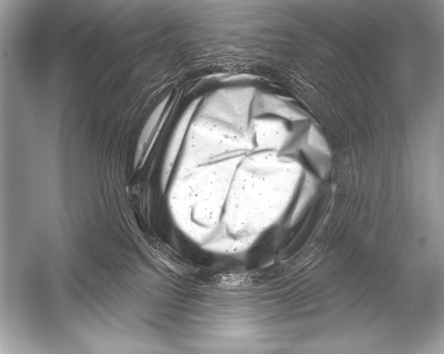 X0000051860088200507221908