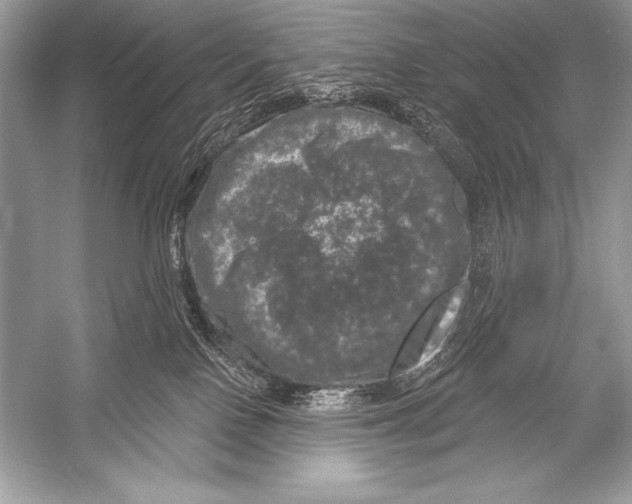 X0000051860090200507221908