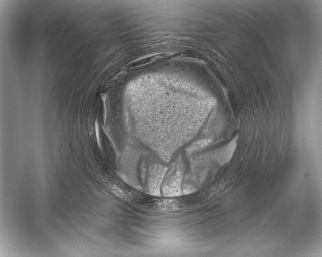 X0000051860091200507221908