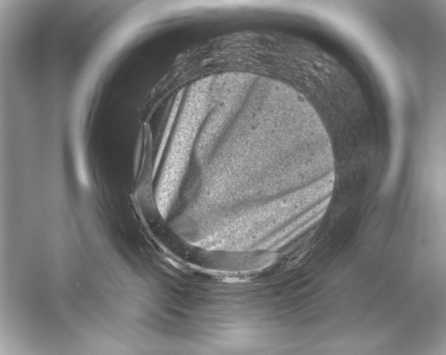 X0000051860093200507221908