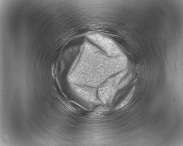 X0000051860094200507221908