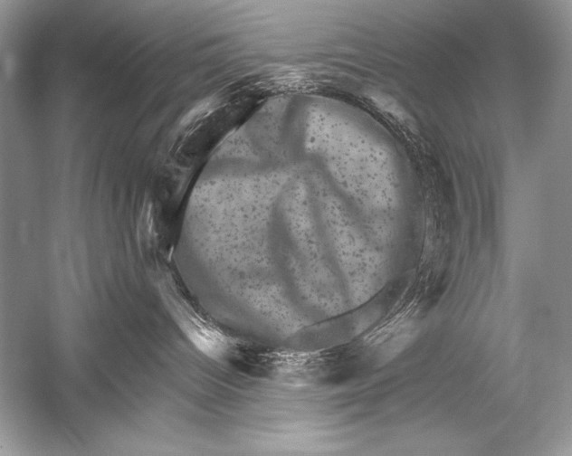 X0000051860096200507221908