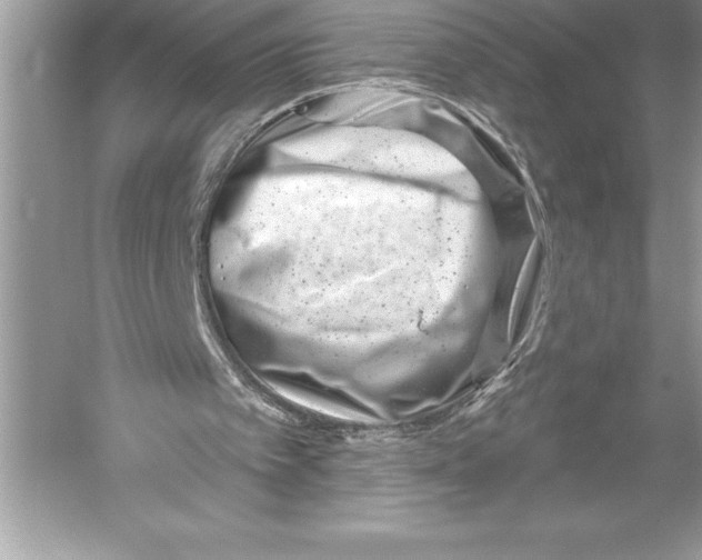 X0000051860097200507221907