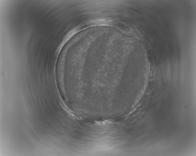 X0000051860099200507221907