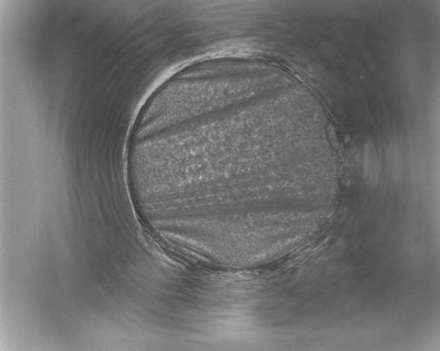 X0000051860100200507221907