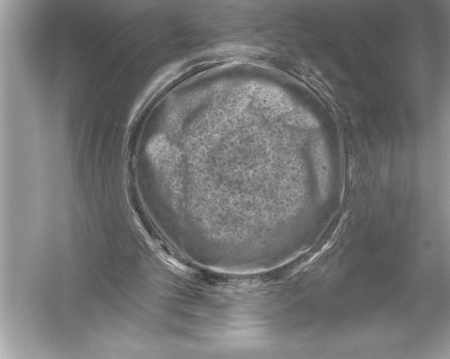 X0000051860101200507221907