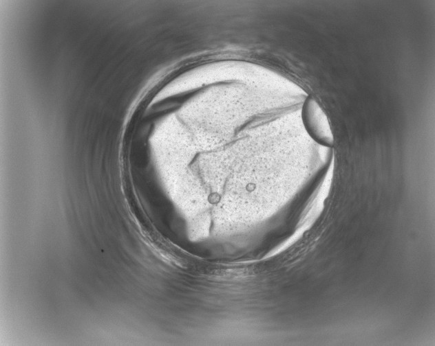 X0000051860102200507221907