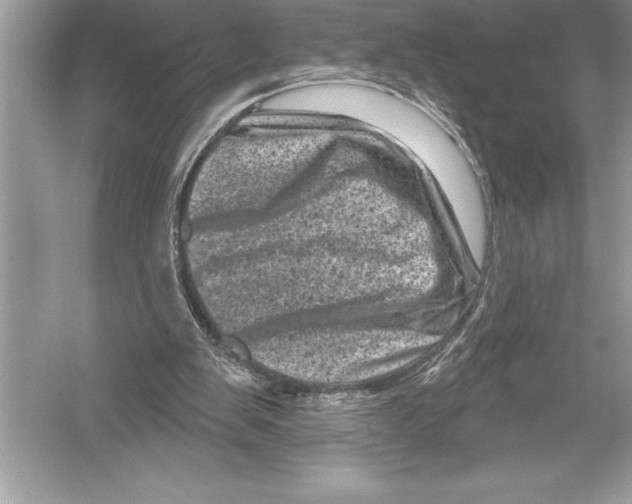 X0000051860103200507221907