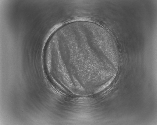 X0000051860104200507221907