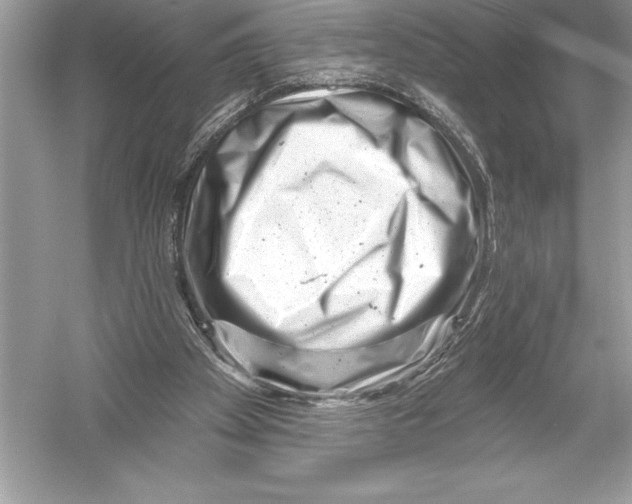 X0000051860105200507221907