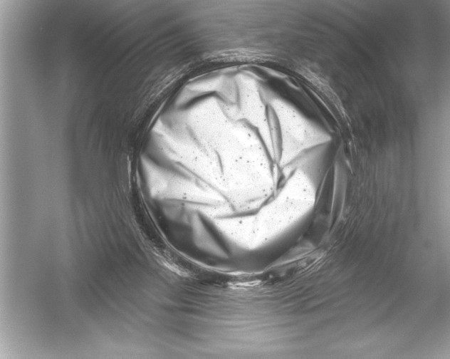 X0000051860109200507221907