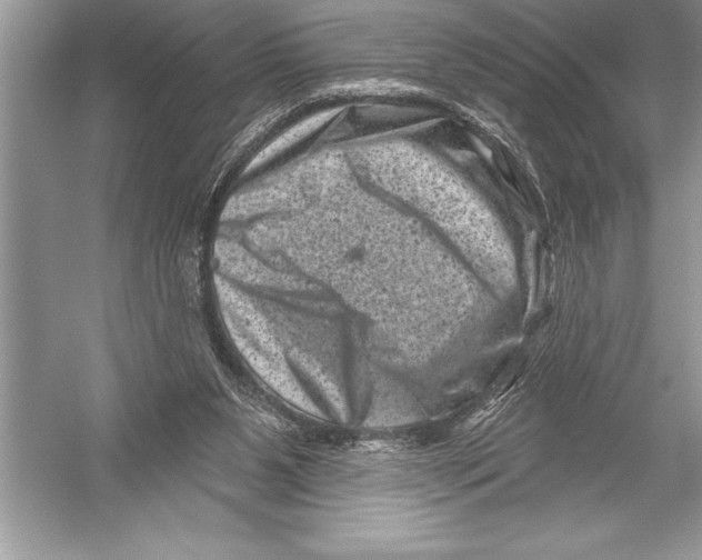 X0000051860111200507221907