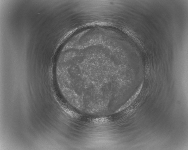 X0000051860112200507221907