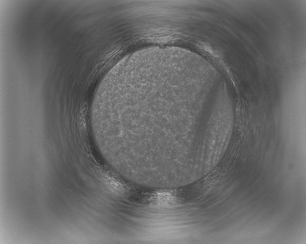 X0000051860114200507221907