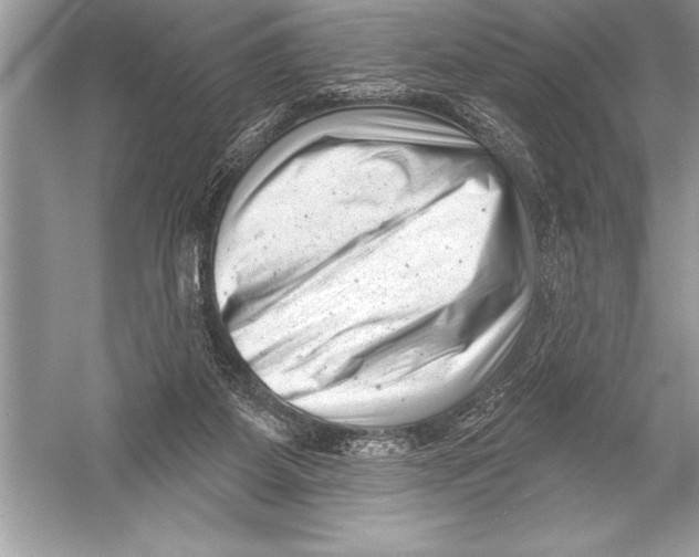 X0000051860115200507221907