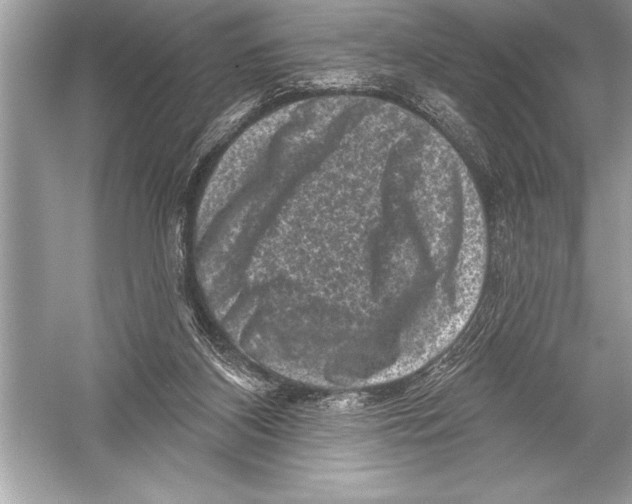 X0000051860116200507221907