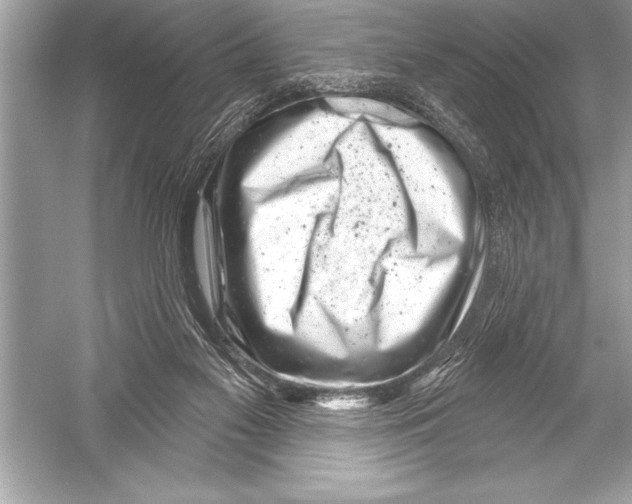 X0000051860117200507221907