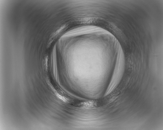 X0000051860118200507221907