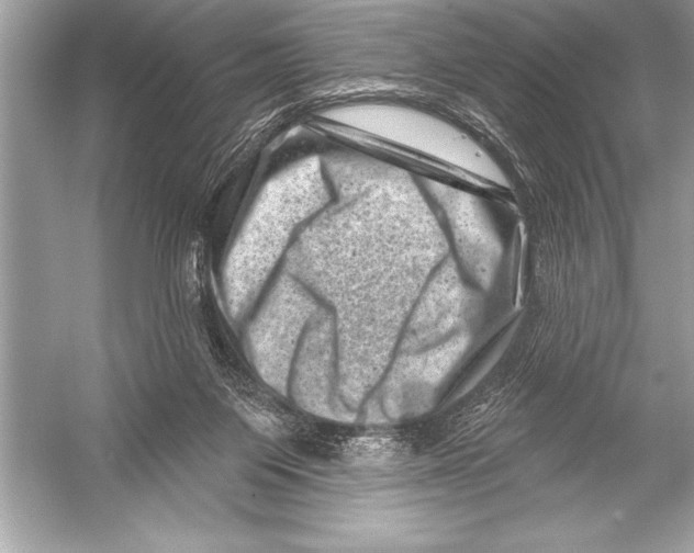 X0000051860119200507221907