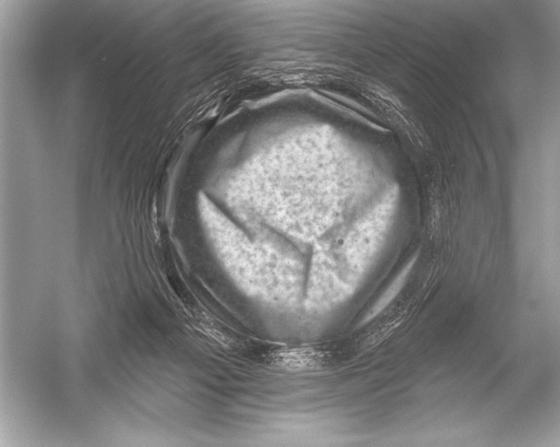 X0000051860121200507221907