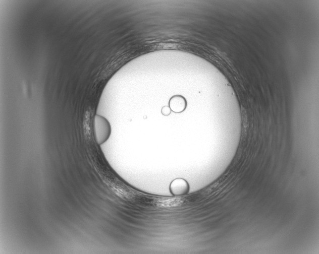 X0000051860122200507221907