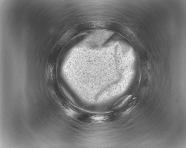 X0000051860123200507221907