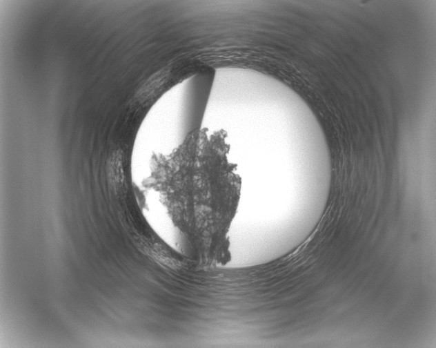 X0000051860128200507221907