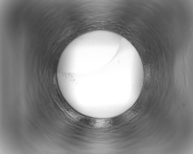 X0000051860130200507221907