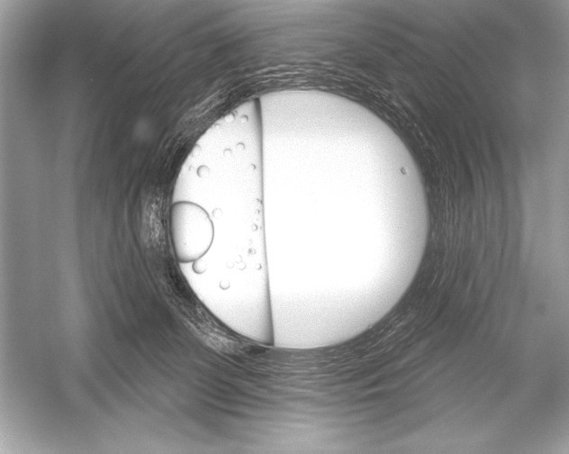 X0000051860131200507221907