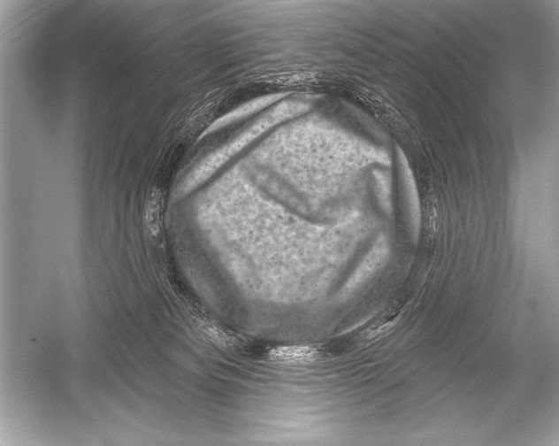 X0000051860133200507221907